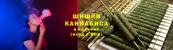 PSILOCYBIN Алзамай