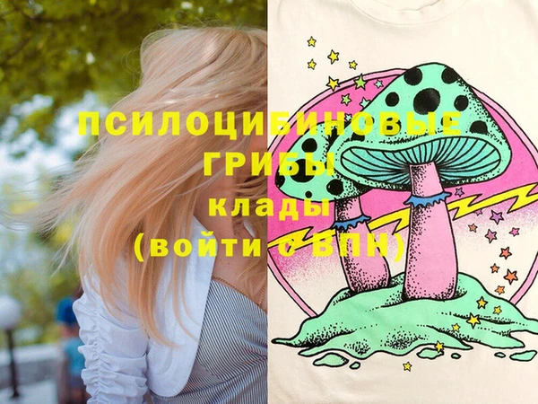 PSILOCYBIN Алзамай