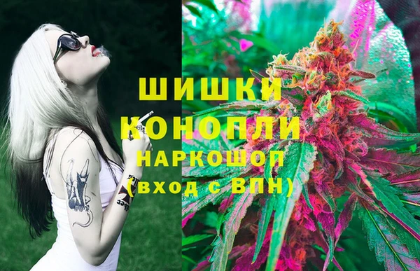 PSILOCYBIN Алзамай