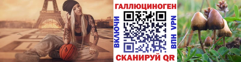 Псилоцибиновые грибы Magic Shrooms  как найти наркотики  Орёл 